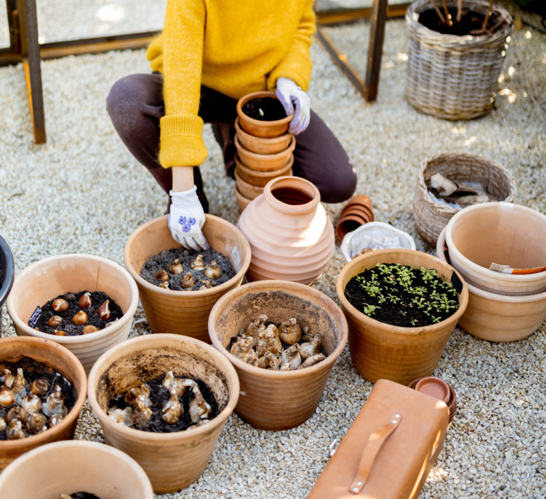 Les bulbes à fleurs sont la promesse magique de belles fleurs émergeant du sol, année après année. Ils apportent de la couleur et de la vie à votre jardin!