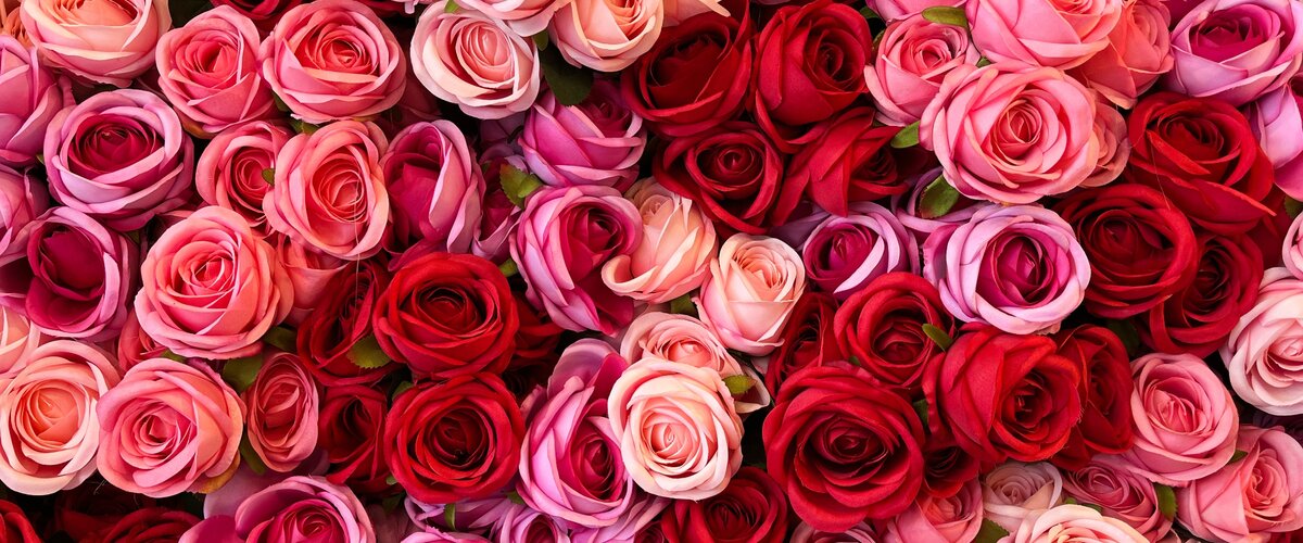 La Saint-Valentin La Saint-Valentin