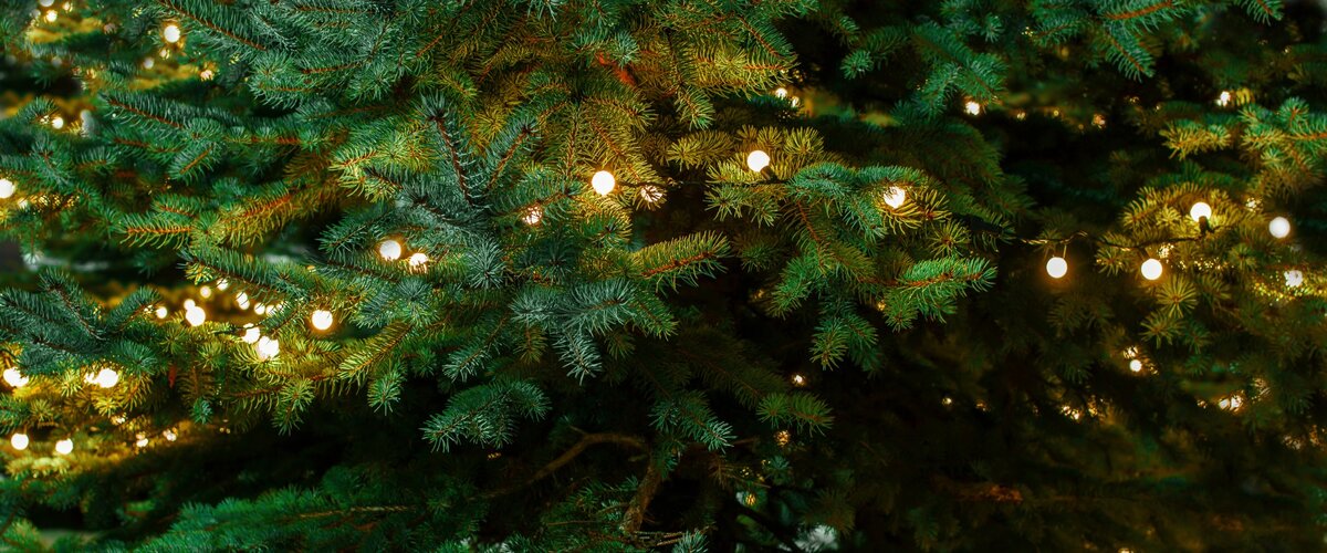 Noel Bientôt Noël… Mettez-vous dans l’ambiance !