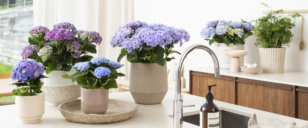 Nous sommes fermés tous les lundis en janvier et février. Fermé tous les lundis en janvier et février.