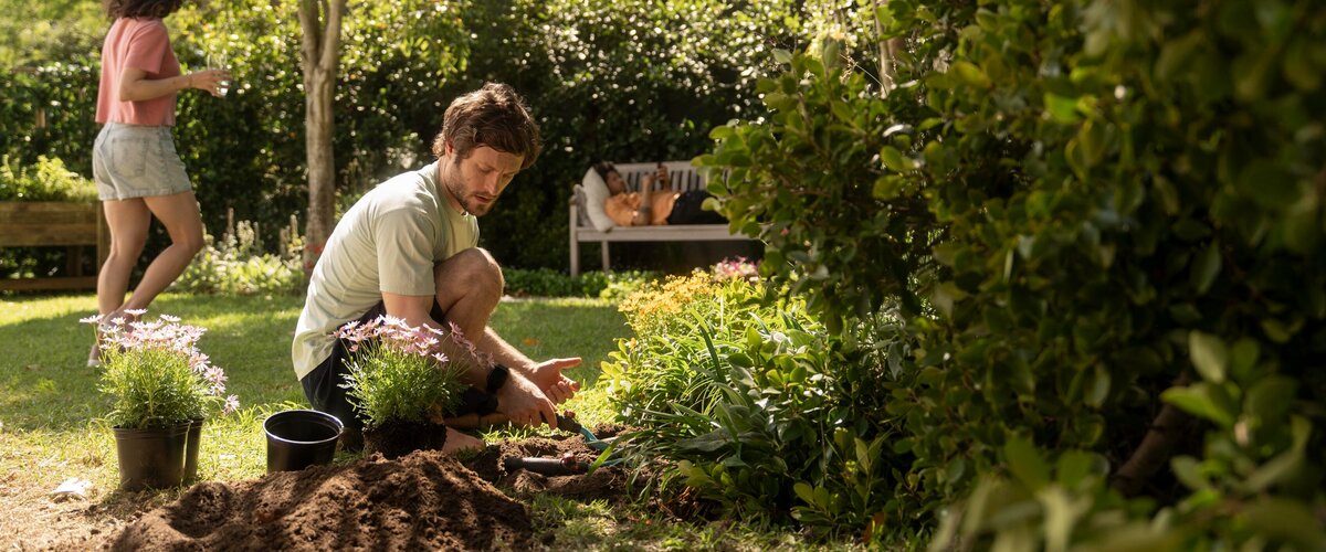 Prêt pour la croissance et la floraison ! Prêt pour la croissance et la floraison !
