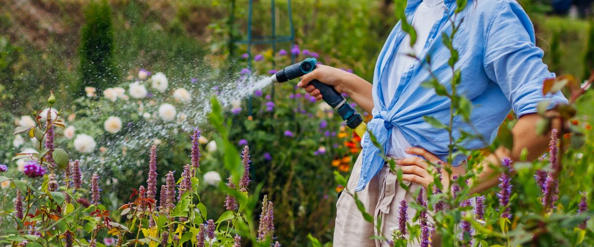 Prêt pour la croissance et la floraison ! Allons profiter du jardin !