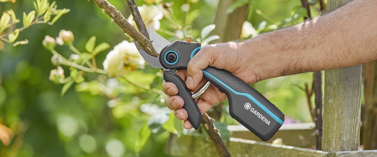 Prêt pour la croissance et la floraison ! Offrez à vos plantes les meilleurs soins