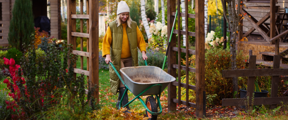 Prêt pour la croissance et la floraison ! Au travail dans le jardin d’automne !