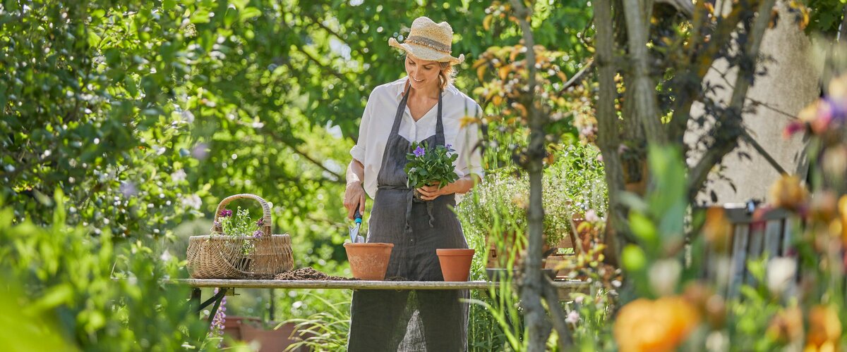 Tuinplanten Hourra, c’est le printemps !