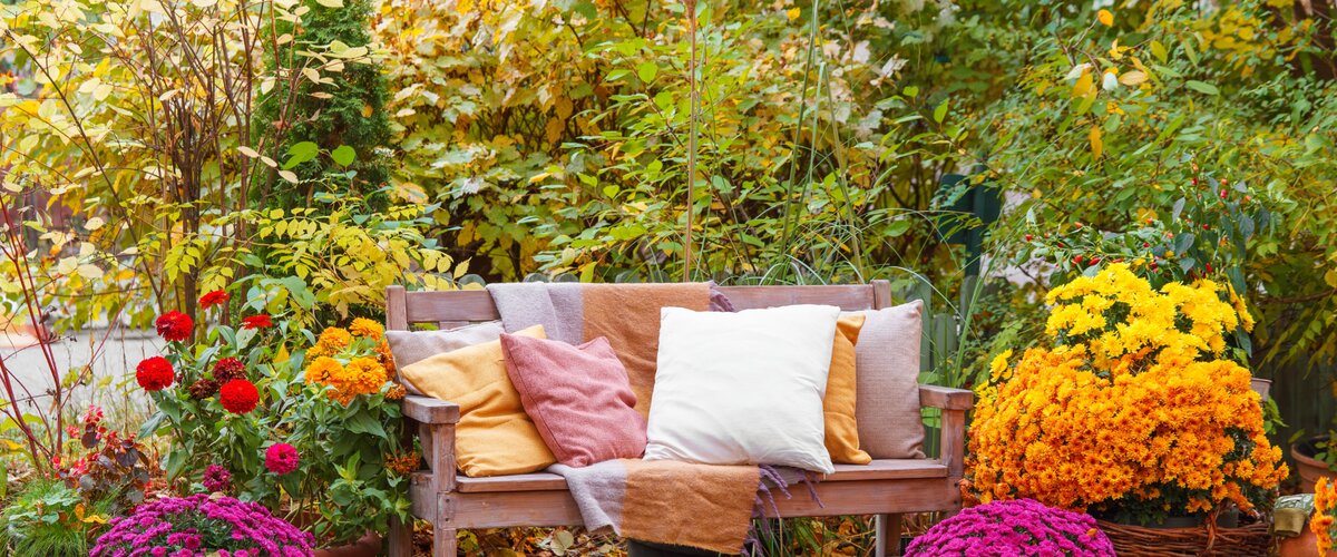 VISITEZ NOTRE JARDINERIE ! VISITEZ NOTRE JARDINERIE !