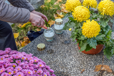 La Toussaint et les chrysanthèmes : Pourquoi cette fleur est-elle si spéciale ?