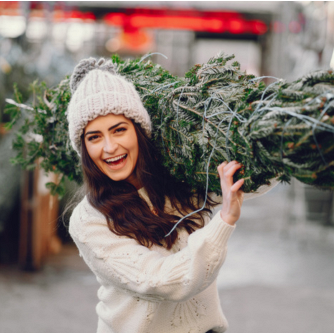 Les sapins de Noël naturels